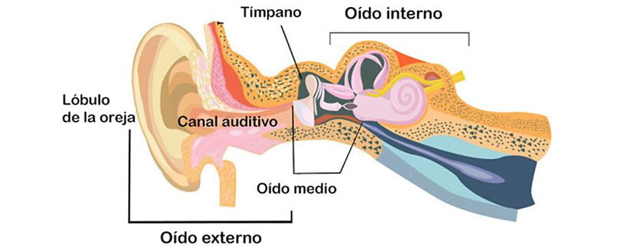 tratamiento vértigo Bilbao