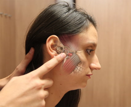 solución tratamiento dolor mandibular
