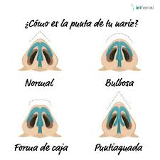 cómo es la punta de tu nariz